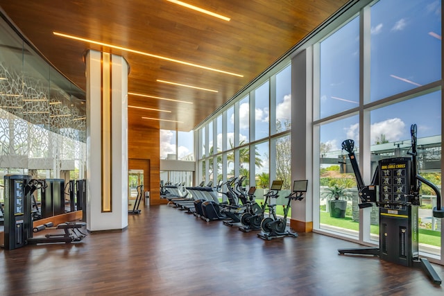 exercise room featuring dark wood-type flooring, a healthy amount of sunlight, and wooden ceiling