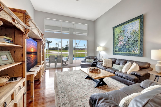 living room featuring hardwood / wood-style floors