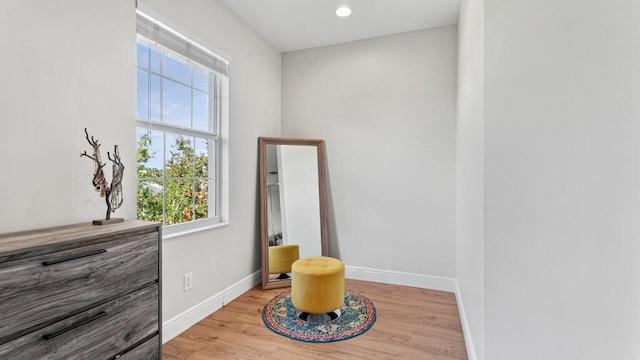 sitting room featuring wood-type flooring