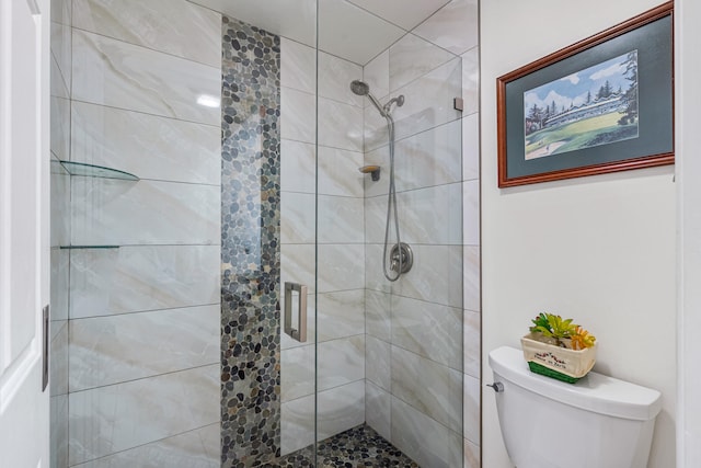 bathroom featuring toilet and an enclosed shower