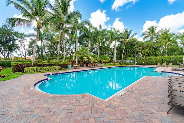 view of swimming pool featuring a patio area