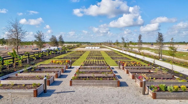 7751 SW Ann St, Palm City, FL 34990 - view of home's community with a vegetable garden, a view of countryside, and agricultural area