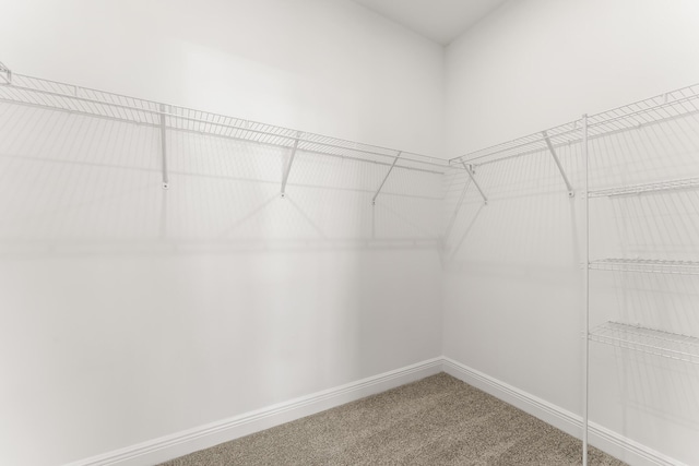 7751 SW Ann St, Palm City, FL 34990 - walk in closet featuring carpet