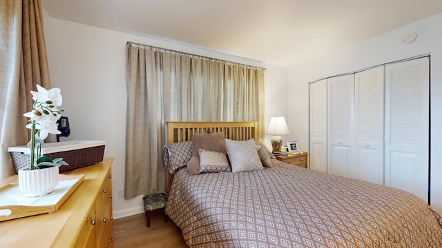 bedroom with a closet and hardwood / wood-style flooring