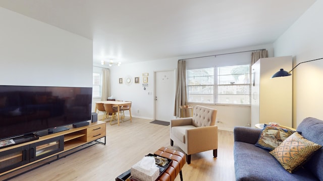 living room with light hardwood / wood-style flooring