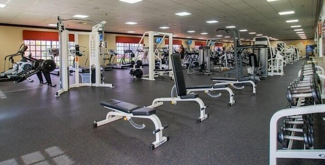 workout area featuring a wealth of natural light and a drop ceiling