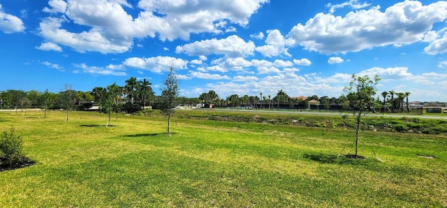 view of yard featuring a rural view