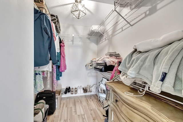 spacious closet with light hardwood / wood-style flooring