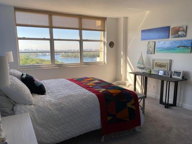 bedroom with a water view, multiple windows, and carpet