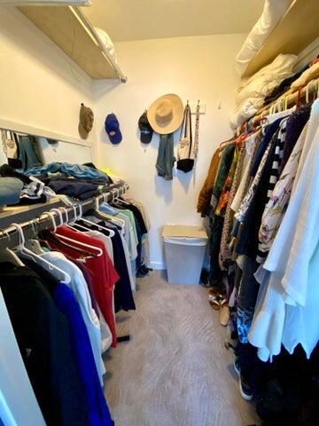 spacious closet with carpet floors