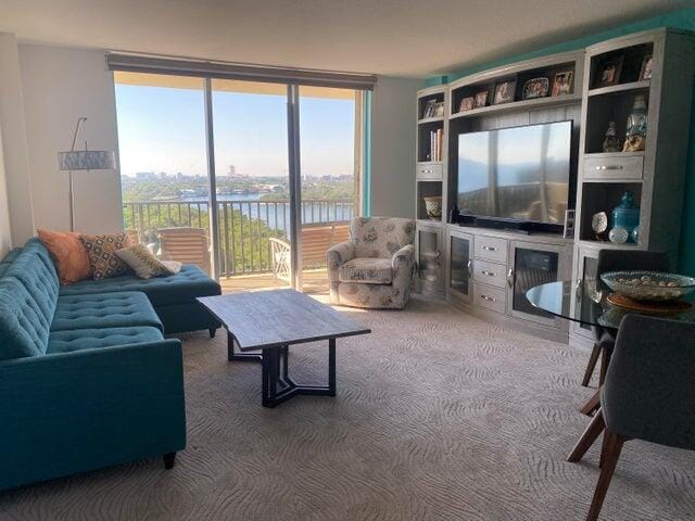 carpeted living room with a wall of windows