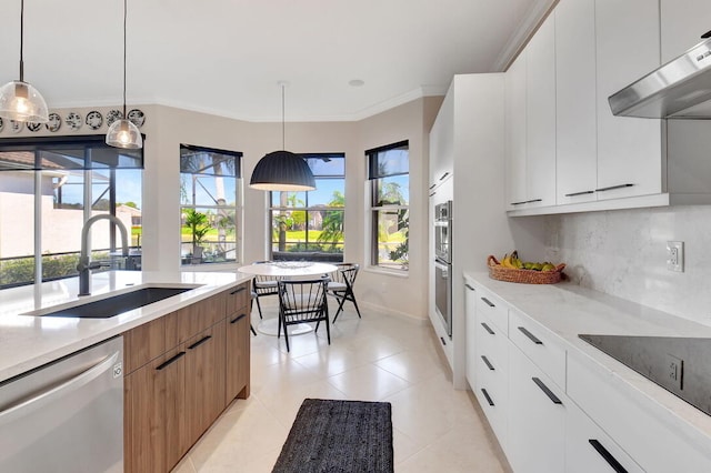 kitchen with appliances with stainless steel finishes, sink, exhaust hood, decorative light fixtures, and white cabinets