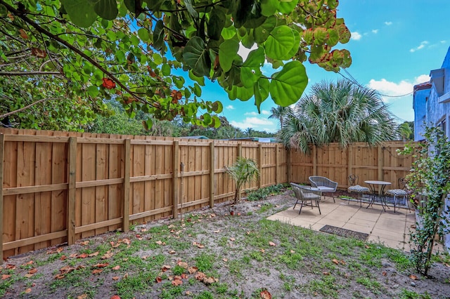 view of yard featuring a patio