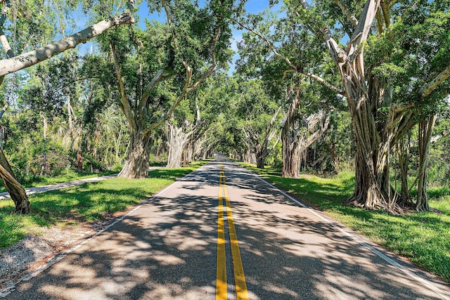 view of road