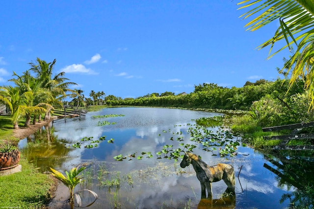 water view