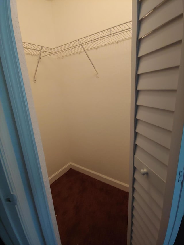 walk in closet featuring dark carpet