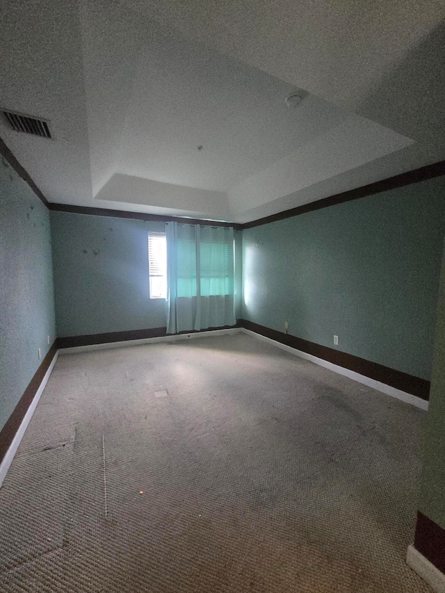 spare room featuring a textured ceiling, carpet flooring, and a raised ceiling