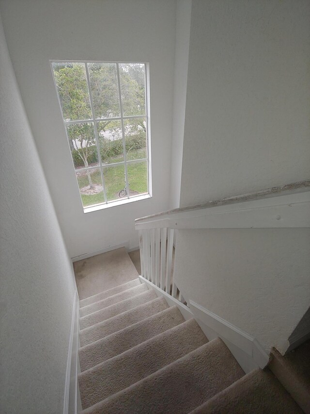 staircase with carpet