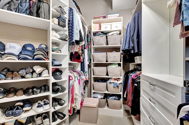 view of spacious closet