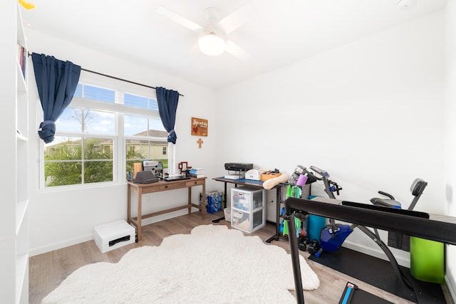 office with ceiling fan and light wood-type flooring