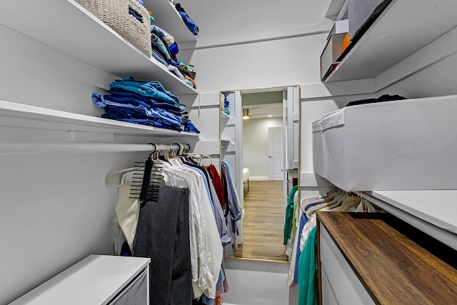 walk in closet with wood-type flooring