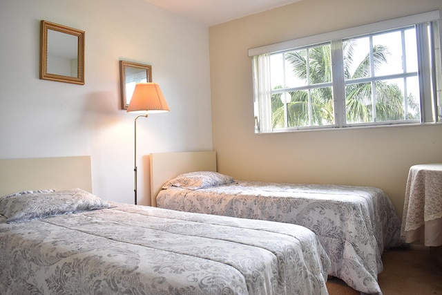 bedroom featuring carpet floors