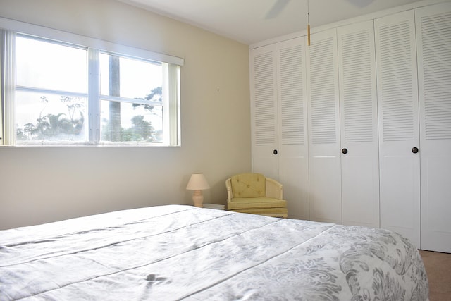 bedroom with ceiling fan, a closet, and carpet floors