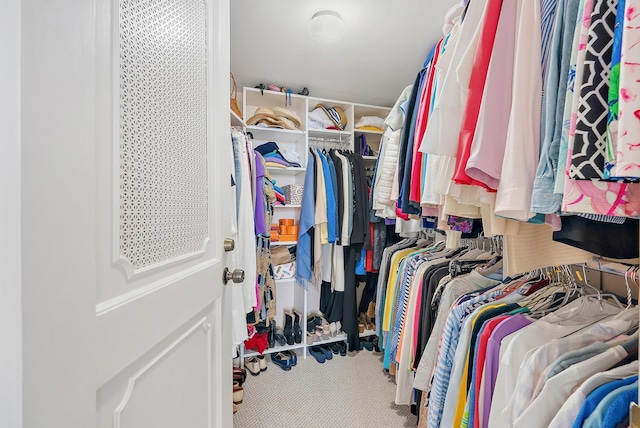 spacious closet with carpet flooring