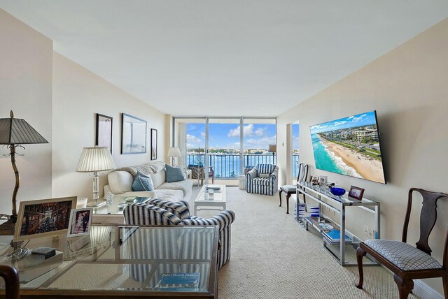 living room featuring plenty of natural light, a water view, and carpet