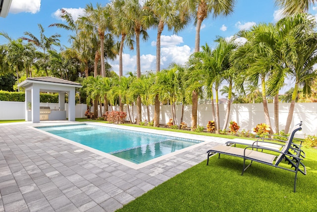 view of pool with a patio area and a yard