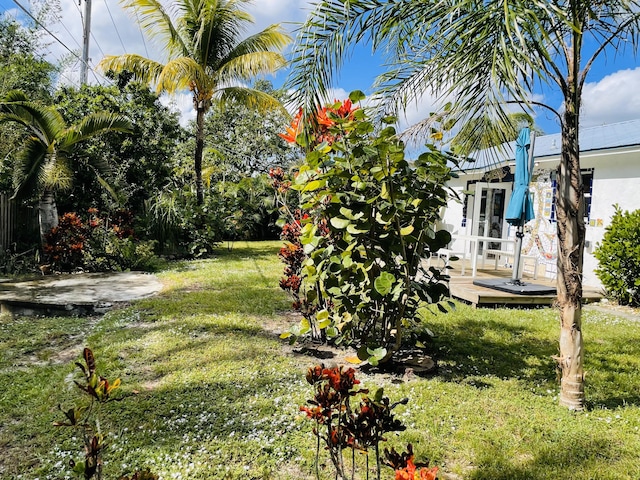 view of yard featuring a patio area