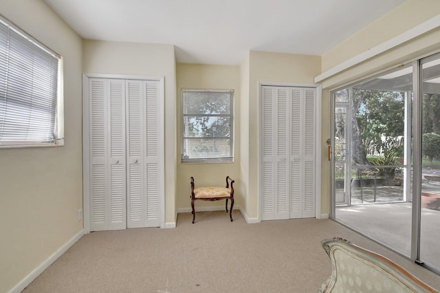 interior space with access to exterior, light colored carpet, and multiple closets