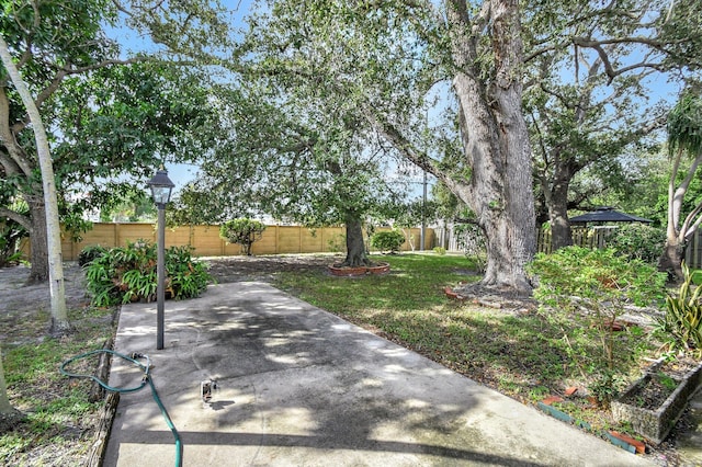 view of yard with a patio area