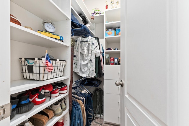 view of walk in closet