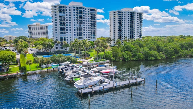 dock area with a water view