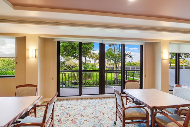 dining area featuring a wealth of natural light