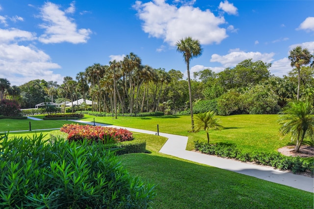 view of home's community with a yard