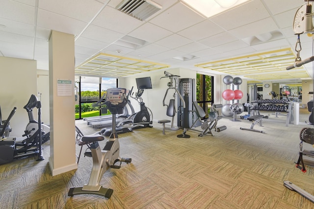 workout area with floor to ceiling windows, a drop ceiling, and carpet