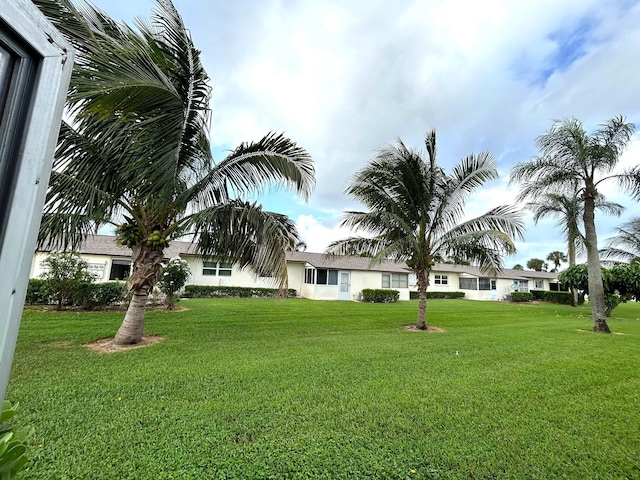 view of grassy yard