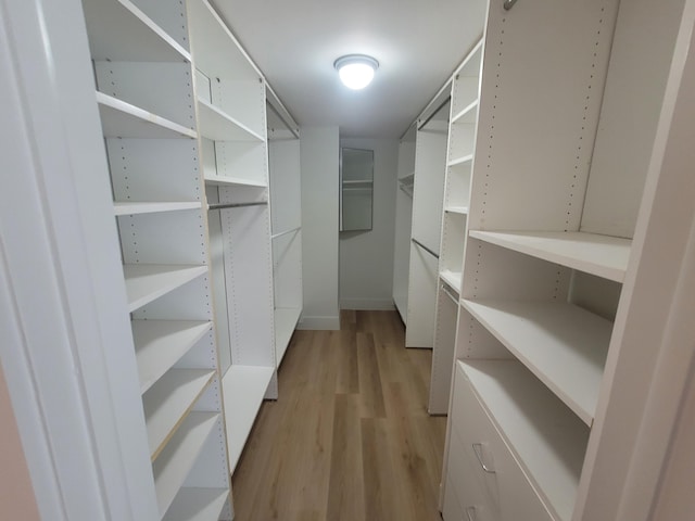 spacious closet featuring light wood-type flooring