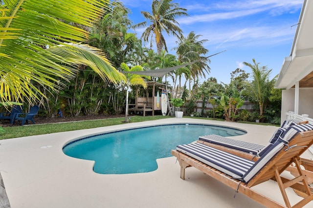 view of swimming pool with a patio area