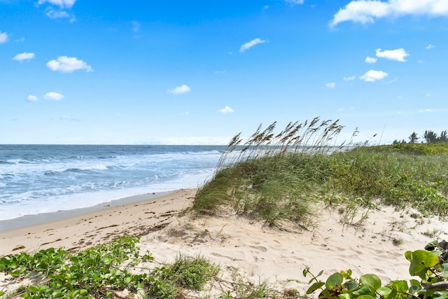 view of water feature with a beach view