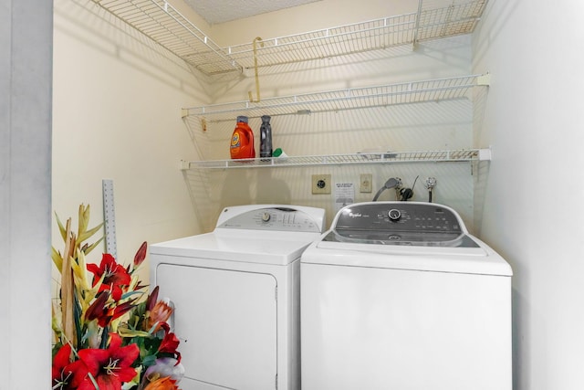 clothes washing area featuring independent washer and dryer