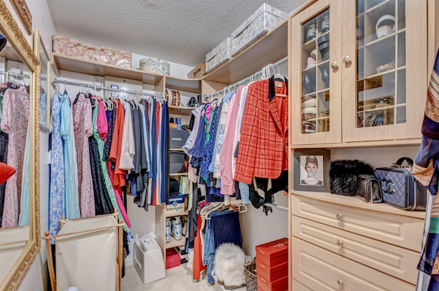 view of spacious closet