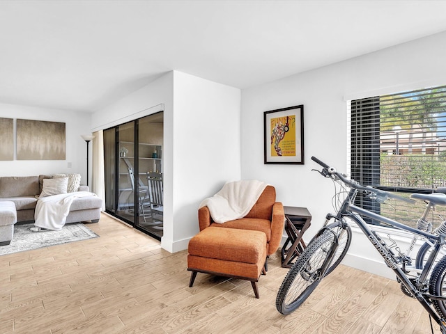 bedroom with access to exterior and light hardwood / wood-style floors