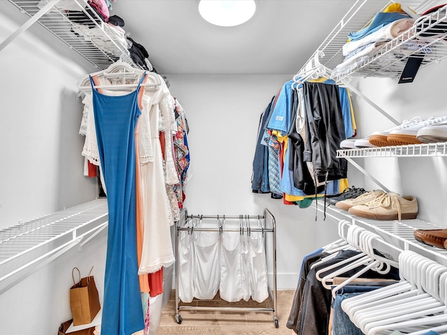 spacious closet featuring hardwood / wood-style flooring