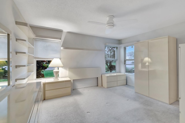 kitchen with a wealth of natural light, ceiling fan, light carpet, and a textured ceiling