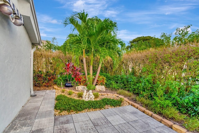 view of yard with a patio area