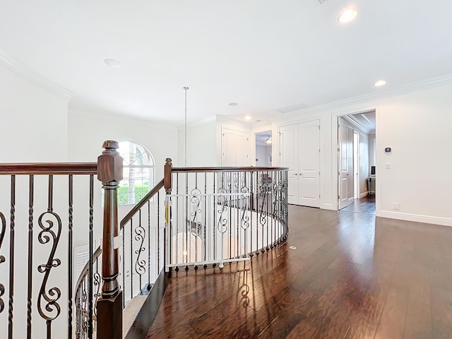 hall featuring ornamental molding and dark hardwood / wood-style flooring