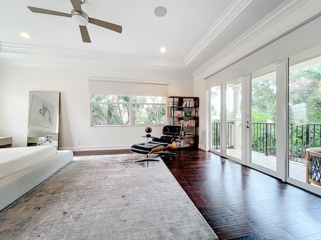 interior space featuring plenty of natural light, a raised ceiling, dark hardwood / wood-style floors, and ceiling fan